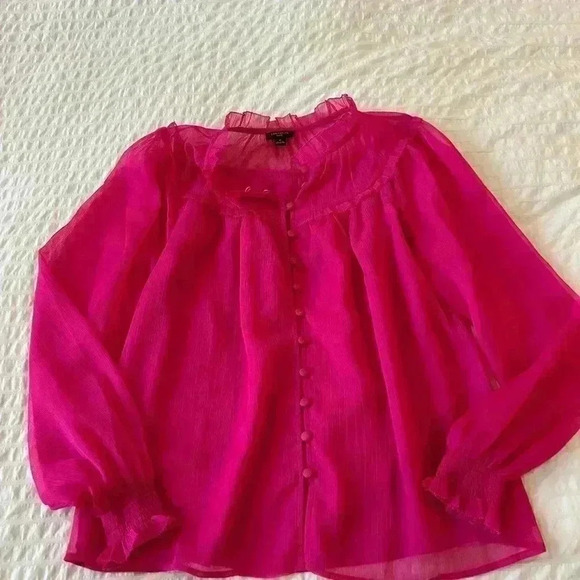 Ann Taylor Petite Small fuscia button up top - Picture 2 of 7